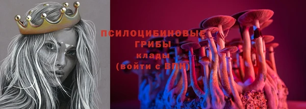 соль ск Алексеевка