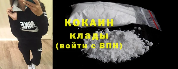гидра Алексин