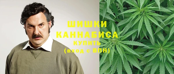 соль ск Алексеевка