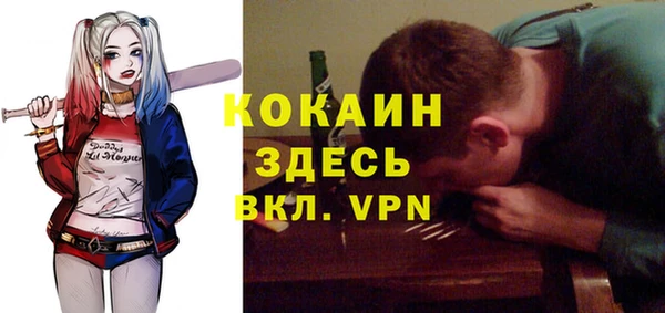 гидра Алексин
