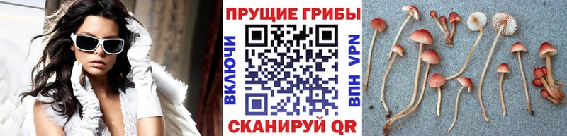 Галлюциногенные грибы мухоморы  Дедовск 